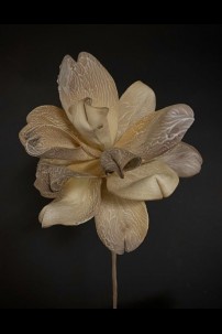 **NEW** NEUTRAL FOAM FLOWER [FF705175]